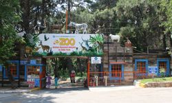 ANTALYA DOĞAL YAŞAM PARKI 4 EKİM’DE ÜCRETSİZ