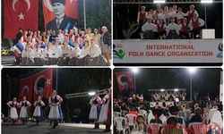 2. ULUSLARARASI BARIŞ FESTİVALİ DÜZENLENDİ