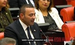 DÜZENSİZ GÖÇMEN İKAMETİNE KAPATILMASI KARARI