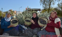 “MANAVGAT ZEYTİN VE ZEYTİNYAĞI FESTİVALİ”NİN İLK GÜNÜNDEN BARIŞ MESAJI ÇIKTI