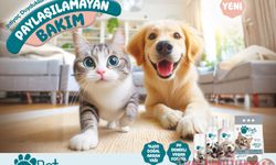 SOĞUK HAVA EVCİL HAYVANLARINIZI ETKİLEMESİN: PET LOVE İLE KIŞ BAKIMI BAŞLASIN!