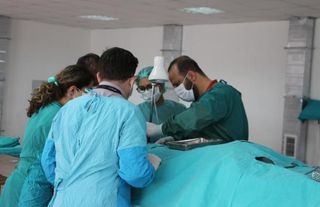 BİLİM İÇİN 'KADAVRA GÖNÜLLÜSÜ' ARANIYOR