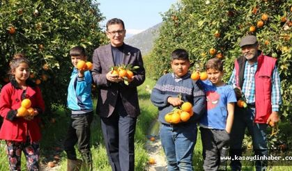 AK PARTİ ANTALYA MİLLETVEKİLİ USLU; " PORTAKAL SUYU İÇELİM"