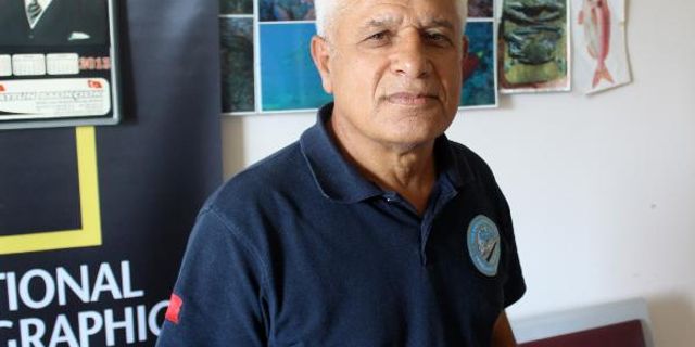 AKDENİZ'DEKİ KÖPEK BALIĞI POPÜLASYONU YÜZDE 97 AZALDI