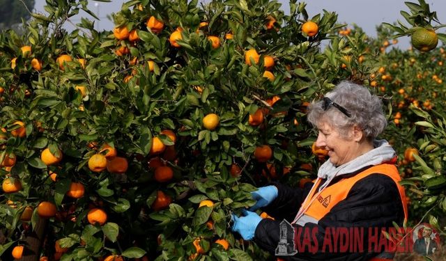 SAĞLIKLI BESLENMEDE SEMBOL HALİNE GELDİ