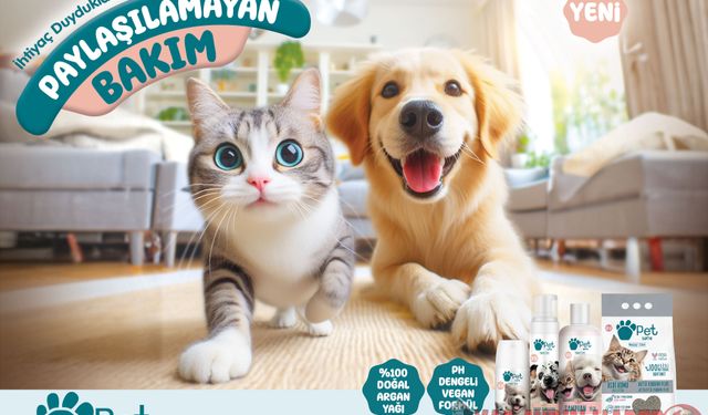 SOĞUK HAVA EVCİL HAYVANLARINIZI ETKİLEMESİN: PET LOVE İLE KIŞ BAKIMI BAŞLASIN!