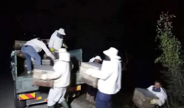 SEYDİKEMER'DE ARI KOVANl YÜKLÜ ARAÇ KAZA YAPTI