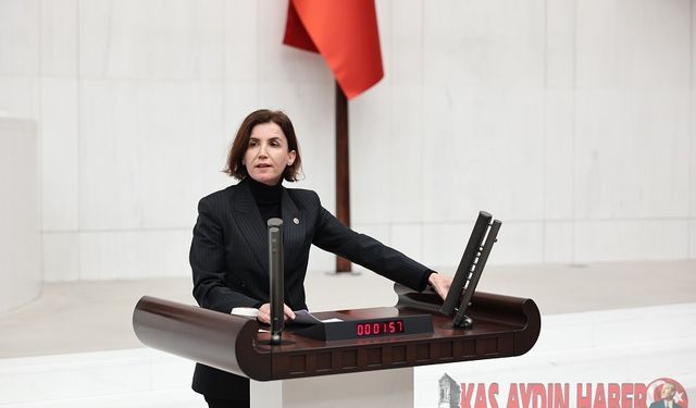 İKTİDARIN YARGIYA MÜDAHALESİ, DEMOKRASİYE TEHDİTTİR