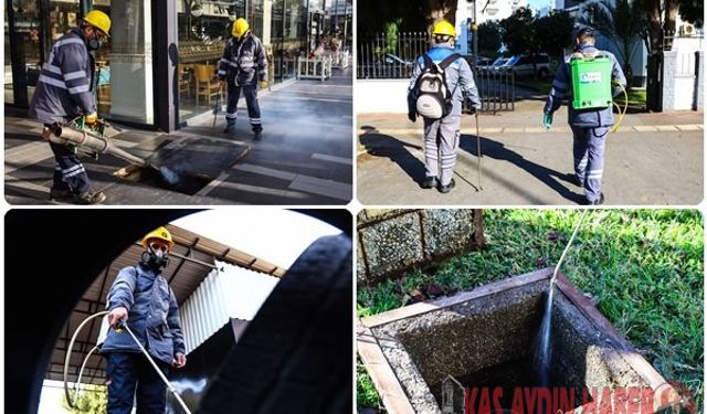 VEKTÖRLE MÜCADELE KIŞ AYLARINDA DA SÜRÜYOR