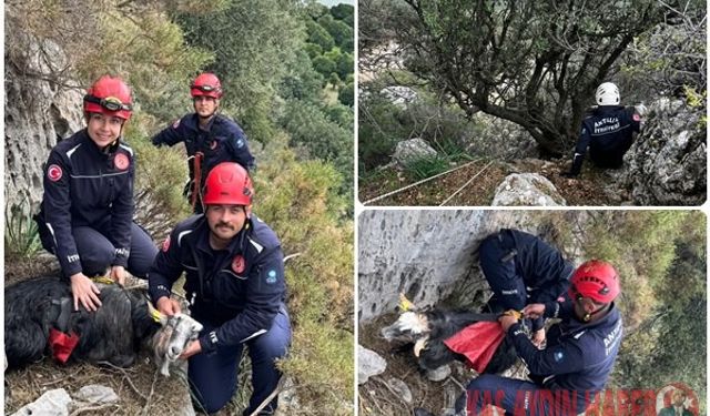 BÜYÜKŞEHİR BELEDİYESİİTFAİYE EKİPLERİNDEN KEÇİ KURTARMA OPERASYONU