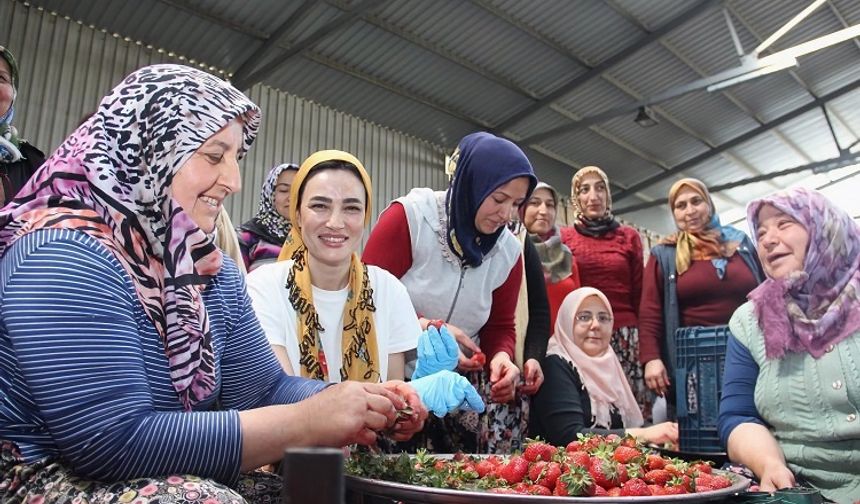 TÜRKİYE GÜZELİNDEN AYDIN ÇIKARMASI