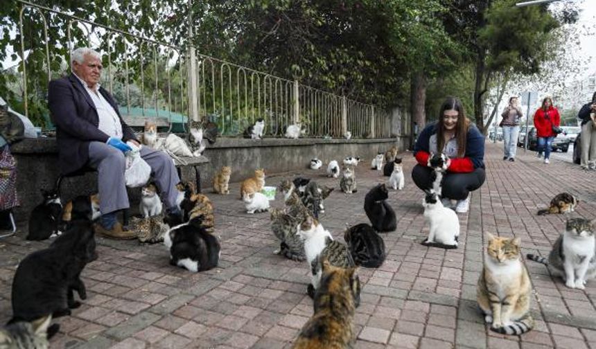 'KEDİLERİN BABASI', HER SABAH 700 KEDİYE MAMA TAŞIYOR