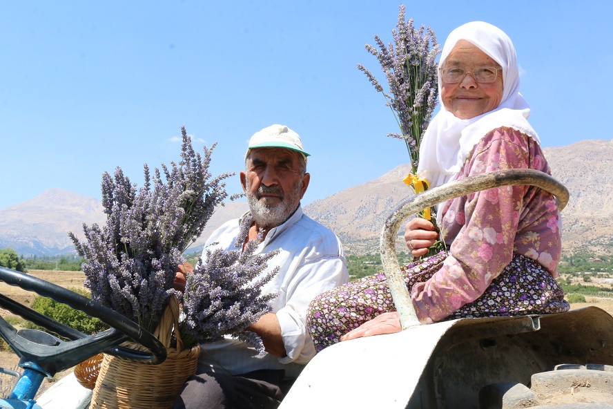 Kaş Lavanta Hasatı (107)